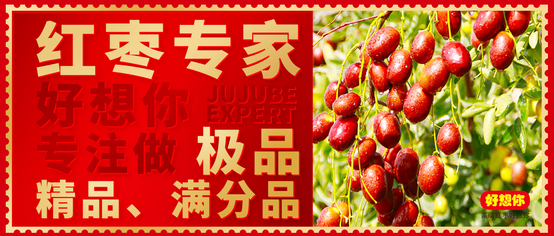 紅棗專家.jpg