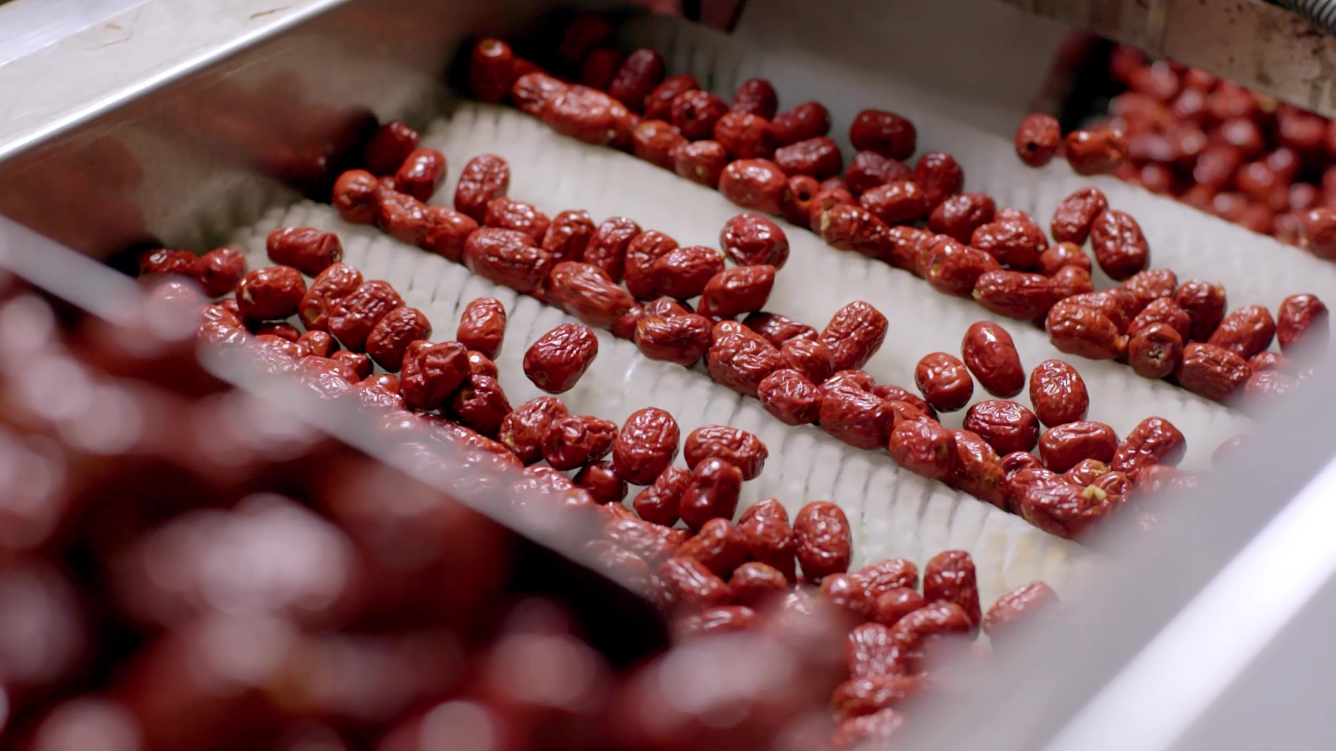 去核紅棗篩選.jpg